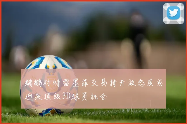 鹈鹕对特雷墨菲交易持开放态度或迎来顶级3D球员机会