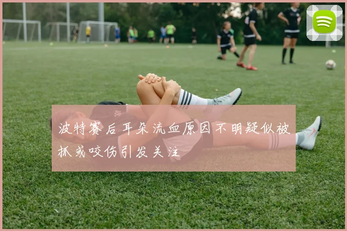 波特赛后耳朵流血原因不明疑似被抓或咬伤引发关注